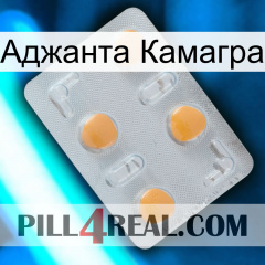 Аджанта Камагра 24